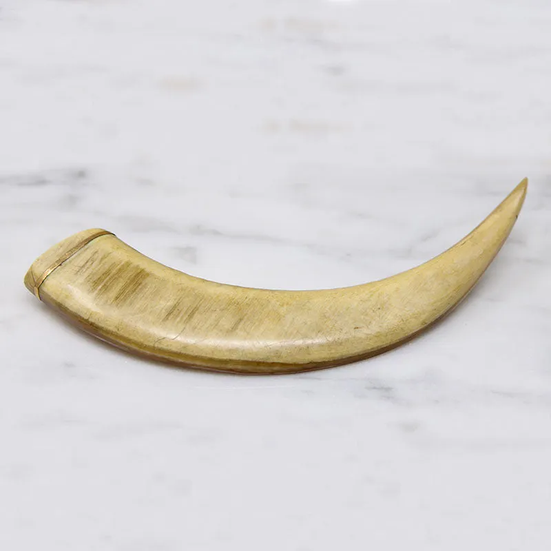 19th Century Big Ol' Claw Brooch