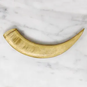19th Century Big Ol' Claw Brooch