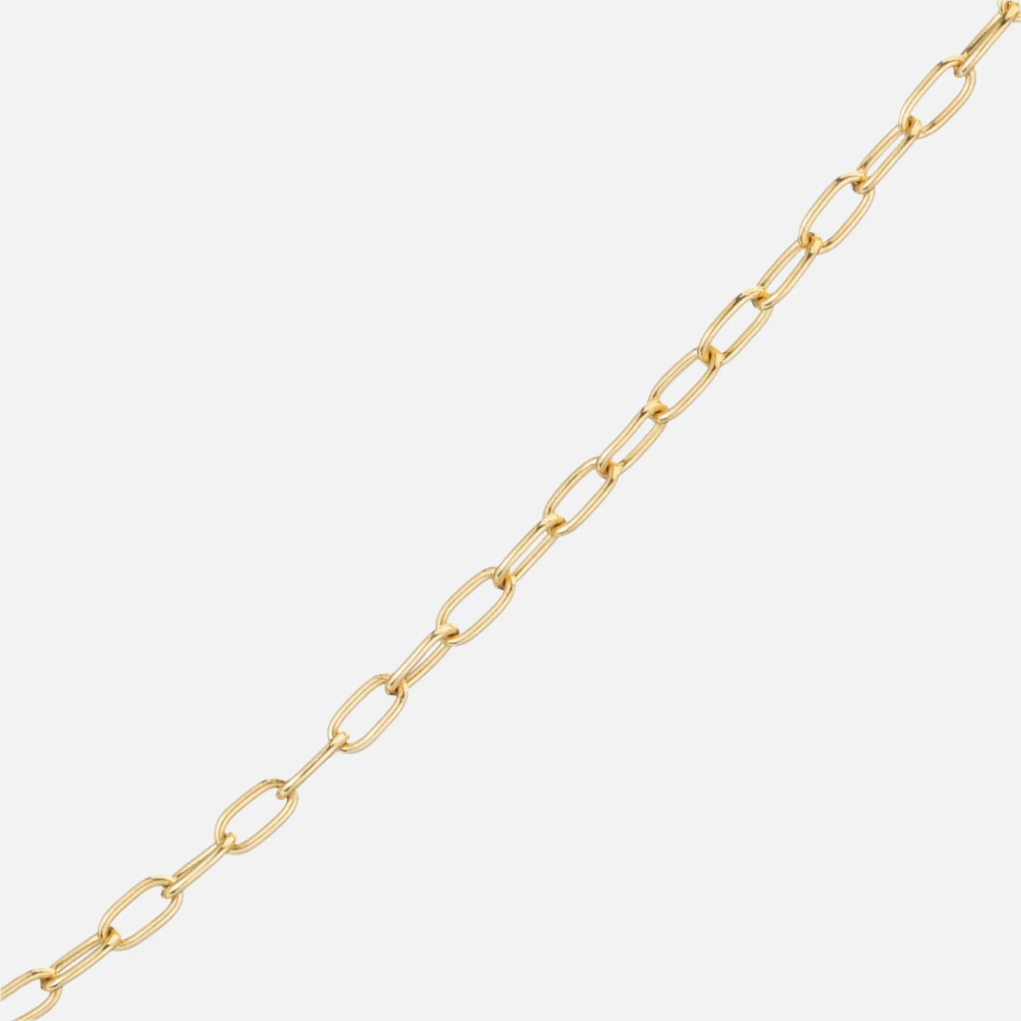 Petite Classic Link Bracelet